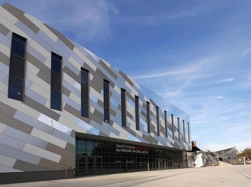 Hote Stephanois Studio, Parking& Borne Electrique Saint-Etienne  Eksteriør billede