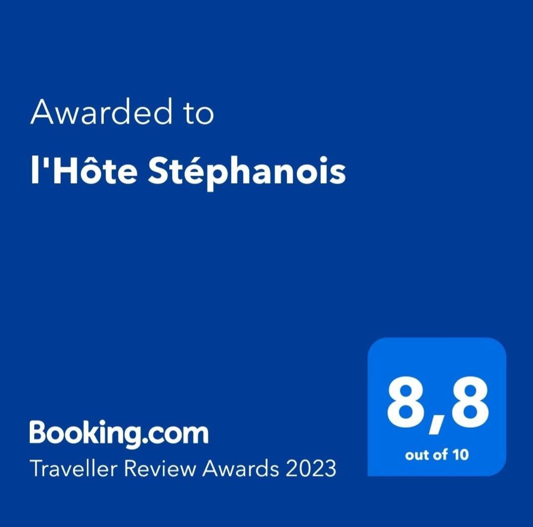 Hote Stephanois Studio, Parking& Borne Electrique Saint-Etienne  Værelse billede